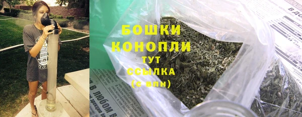 mdpv Белокуриха