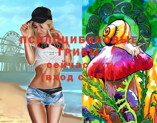 mdpv Белокуриха